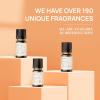 imageVINEVIDA 4oz Scent No3400 Fragrance Oil  Natural USAMade for Candle amp Soap MakingAmbroxede 7