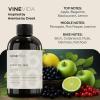 imageVINEVIDA 4oz Scent No3400 Fragrance Oil  Natural USAMade for Candle amp Soap MakingAventas