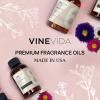 imageVINEVIDA 4oz Scent No3400 Fragrance Oil  Natural USAMade for Candle amp Soap MakingBaie