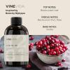 imageVINEVIDA 4oz Scent No3400 Fragrance Oil  Natural USAMade for Candle amp Soap MakingBaie