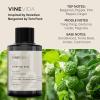 imageVINEVIDA 4oz Scent No3400 Fragrance Oil  Natural USAMade for Candle amp Soap MakingBergamot