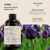 imageVINEVIDA 4oz Scent No3400 Fragrance Oil  Natural USAMade for Candle amp Soap MakingBlack and Tulip