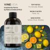 imageVINEVIDA 4oz Scent No3400 Fragrance Oil  Natural USAMade for Candle amp Soap MakingBreak the line