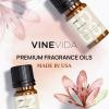 imageVINEVIDA 4oz Scent No3400 Fragrance Oil  Natural USAMade for Candle amp Soap MakingCabana
