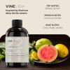 imageVINEVIDA 4oz Scent No3400 Fragrance Oil  Natural USAMade for Candle amp Soap MakingCheirosa 8