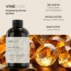 imageVINEVIDA 4oz Scent No3400 Fragrance Oil  Natural USAMade for Candle amp Soap MakingCitrin