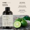 imageVINEVIDA 4oz Scent No3400 Fragrance Oil  Natural USAMade for Candle amp Soap MakingDe Noir