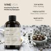 imageVINEVIDA 4oz Scent No3400 Fragrance Oil  Natural USAMade for Candle amp Soap MakingEau de Mint