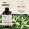 imageVINEVIDA 4oz Scent No3400 Fragrance Oil  Natural USAMade for Candle amp Soap MakingFleur Vanilla