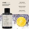 imageVINEVIDA 4oz Scent No3400 Fragrance Oil  Natural USAMade for Candle amp Soap MakingGuilty and Men