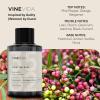 imageVINEVIDA 4oz Scent No3400 Fragrance Oil  Natural USAMade for Candle amp Soap MakingGuilty and Women