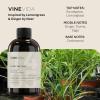 imageVINEVIDA 4oz Scent No3400 Fragrance Oil  Natural USAMade for Candle amp Soap MakingLemongrass 2  Ginger 6