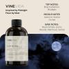 imageVINEVIDA 4oz Scent No3400 Fragrance Oil  Natural USAMade for Candle amp Soap MakingMidnight