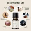 imageVINEVIDA 4oz Scent No3400 Fragrance Oil  Natural USAMade for Candle amp Soap MakingMidnight Fleur