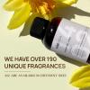 imageVINEVIDA 4oz Scent No3400 Fragrance Oil  Natural USAMade for Candle amp Soap MakingParis