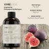 imageVINEVIDA 4oz Scent No3400 Fragrance Oil  Natural USAMade for Candle amp Soap MakingPilosikos