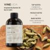imageVINEVIDA 4oz Scent No3400 Fragrance Oil  Natural USAMade for Candle amp Soap MakingSantal 3