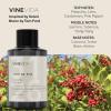 imageVINEVIDA 4oz Scent No3400 Fragrance Oil  Natural USAMade for Candle amp Soap MakingSoleil White