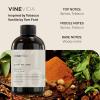 imageVINEVIDA 4oz Scent No3400 Fragrance Oil  Natural USAMade for Candle amp Soap MakingTobacco and Vanille