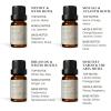 imageVINEVIDA Luxury Hotel Scent Collection  Set of 8 Premium Fragrance Oils  5 Star Hotel Essential Oil Fragrance for Home Diffusers Soap amp Candle Making