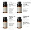 imageVINEVIDA Luxury Hotel Scent Collection  Set of 8 Premium Fragrance Oils  5 Star Hotel Essential Oil Fragrance for Home Diffusers Soap amp Candle Making