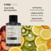 imageVINEVIDA Winter Collection Pack of 4  Diffuser Fragrance Oil Set  Cold Air Diffuser Oil  Waterless Diffuser Oil RefillSPRING