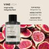 imageVINEVIDA Winter Collection Pack of 4  Diffuser Fragrance Oil Set  Cold Air Diffuser Oil  Waterless Diffuser Oil RefillSPRING