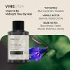 imageVINEVIDA Winter Collection Pack of 4  Diffuser Fragrance Oil Set  Cold Air Diffuser Oil  Waterless Diffuser Oil RefillSPRING