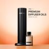imageVINEVIDA Winter Collection Pack of 4  Diffuser Fragrance Oil Set  Cold Air Diffuser Oil  Waterless Diffuser Oil RefillSPRING