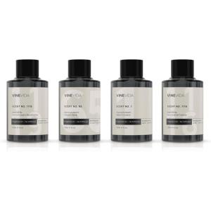 imageVINEVIDA Winter Collection Pack of 4  Diffuser Fragrance Oil Set  Cold Air Diffuser Oil  Waterless Diffuser Oil RefillFALL