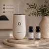 image:imageVINEVIDA Summer Diffuser Oil Collection Set of 8  Scented Oil  Aromatherapy Diffuser Oils  Made in USACLEAN