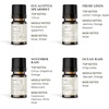 image:imageVINEVIDA Summer Diffuser Oil Collection Set of 8  Scented Oil  Aromatherapy Diffuser Oils  Made in USACLEAN