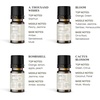 image:imageVINEVIDA Summer Diffuser Oil Collection Set of 8  Scented Oil  Aromatherapy Diffuser Oils  Made in USAFEMININE