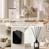 image:imageVINEVIDA Summer Diffuser Oil Collection Set of 8  Scented Oil  Aromatherapy Diffuser Oils  Made in USAFEMININE
