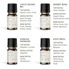 image:imageVINEVIDA Summer Diffuser Oil Collection Set of 8  Scented Oil  Aromatherapy Diffuser Oils  Made in USAFEMININE