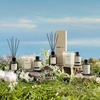 image:imageVINEVIDA Summer Diffuser Oil Collection Set of 8  Scented Oil  Aromatherapy Diffuser Oils  Made in USAFEMININE