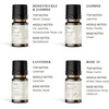 image:imageVINEVIDA Summer Diffuser Oil Collection Set of 8  Scented Oil  Aromatherapy Diffuser Oils  Made in USAFLORAL