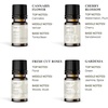 image:imageVINEVIDA Summer Diffuser Oil Collection Set of 8  Scented Oil  Aromatherapy Diffuser Oils  Made in USAFLORAL