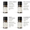 image:imageVINEVIDA Summer Diffuser Oil Collection Set of 8  Scented Oil  Aromatherapy Diffuser Oils  Made in USAFRUIT