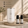 image:imageVINEVIDA Summer Diffuser Oil Collection Set of 8  Scented Oil  Aromatherapy Diffuser Oils  Made in USAFRUIT