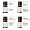 image:imageVINEVIDA Summer Diffuser Oil Collection Set of 8  Scented Oil  Aromatherapy Diffuser Oils  Made in USAMASCULINE