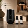 image:imageVINEVIDA Summer Diffuser Oil Collection Set of 8  Scented Oil  Aromatherapy Diffuser Oils  Made in USAMASCULINE