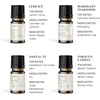 image:imageVINEVIDA Summer Diffuser Oil Collection Set of 8  Scented Oil  Aromatherapy Diffuser Oils  Made in USAMASCULINE