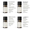 image:imageVINEVIDA Summer Diffuser Oil Collection Set of 8  Scented Oil  Aromatherapy Diffuser Oils  Made in USASUMMER