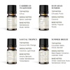 image:imageVINEVIDA Summer Diffuser Oil Collection Set of 8  Scented Oil  Aromatherapy Diffuser Oils  Made in USASUMMER