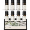 image:imageVINEVIDA Summer Diffuser Oil Collection Set of 8  Scented Oil  Aromatherapy Diffuser Oils  Made in USACLEAN