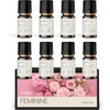 image:imageVINEVIDA Summer Diffuser Oil Collection Set of 8  Scented Oil  Aromatherapy Diffuser Oils  Made in USAFEMININE